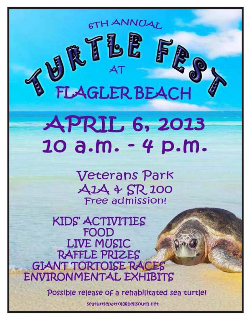 turtle fest