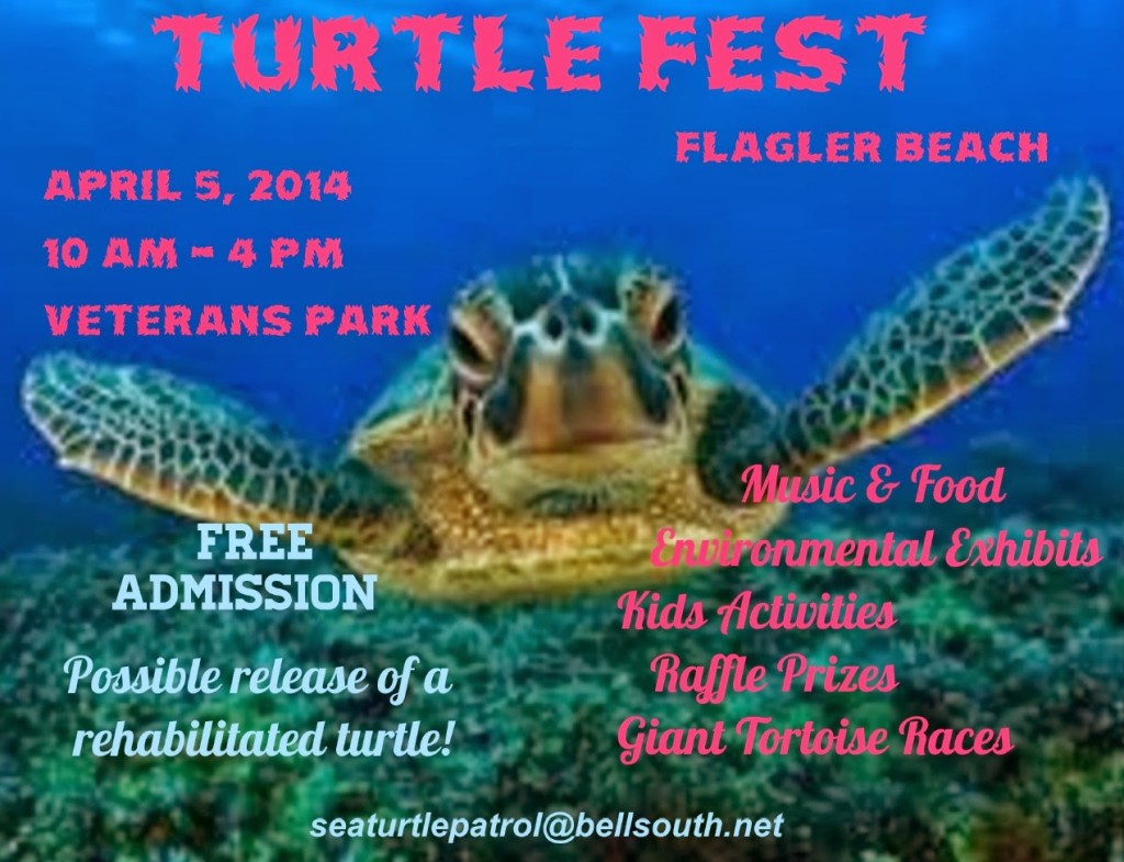 Flagler Beach Turtle Fest 2014